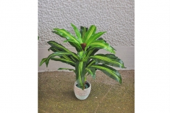 065 veštačka dracena